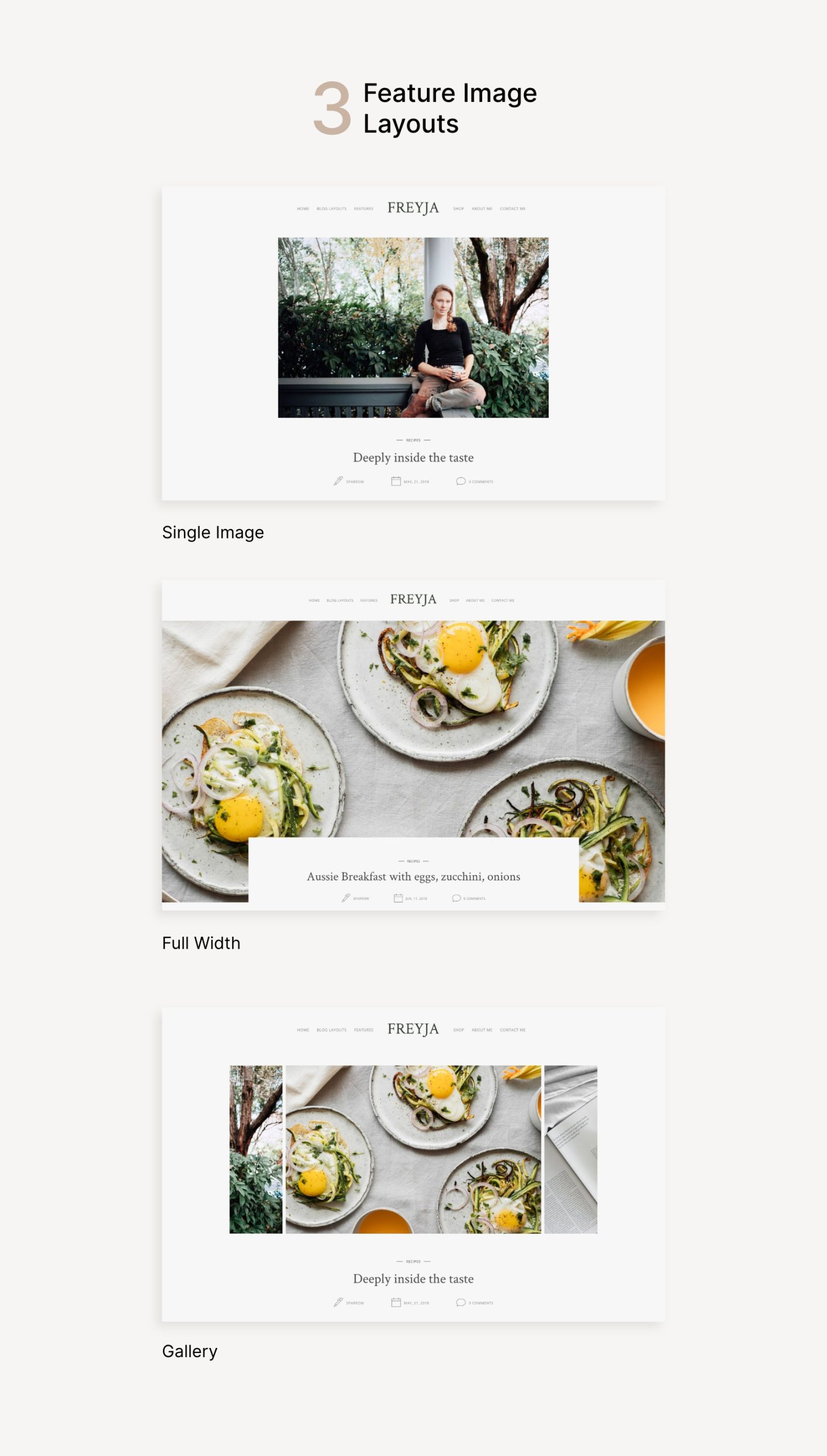 Freyja Pro WordPress theme