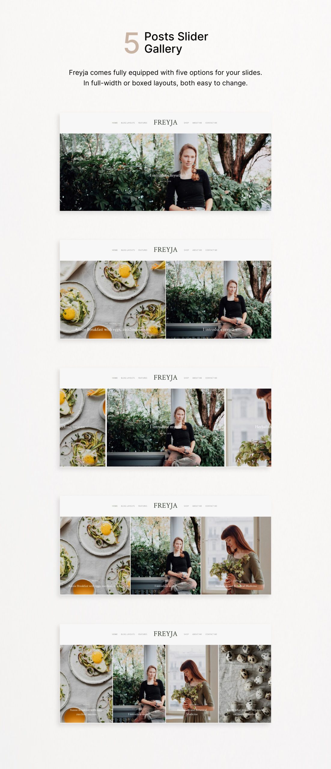 Freyja Pro WordPress Theme with 5-Post Slider Gallery