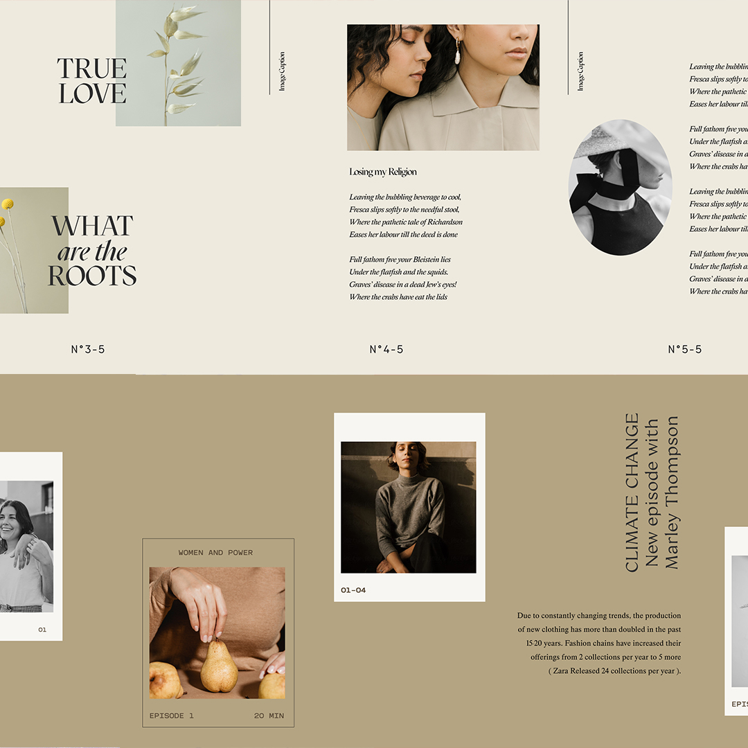 Purpose-driven Carousel Templates, inspire, educate, audience