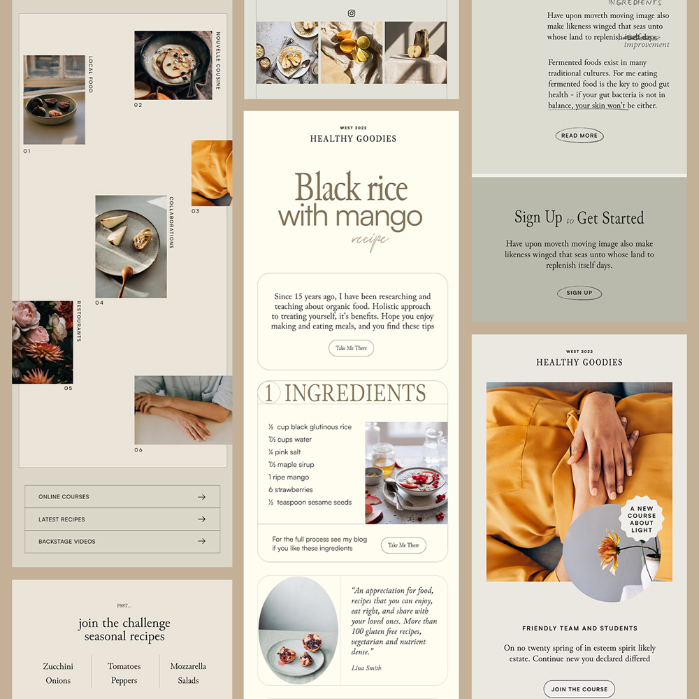 Thyme Newsletter Templates