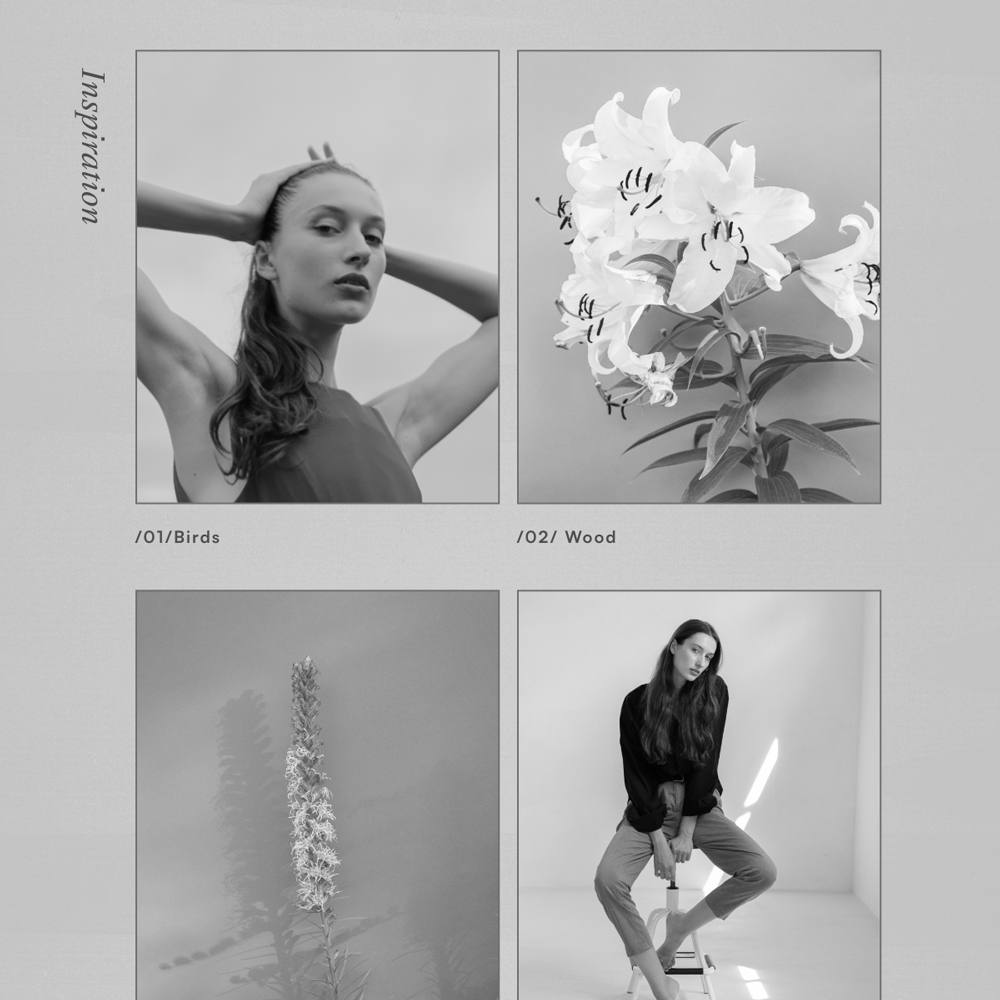 Olena Social Kit Templates - Minimal and Modern Layouts