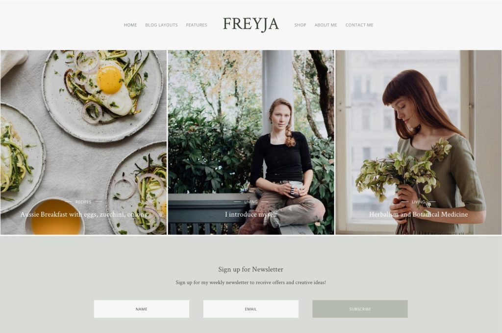 Freyja WordPress Theme Demo 4 for Food Bloggers